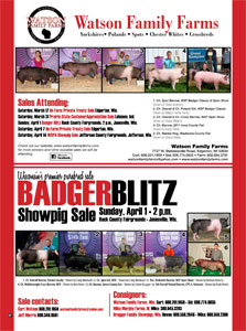 Badger Blitz Flyer