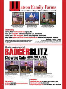 Badger Blitz Flyer