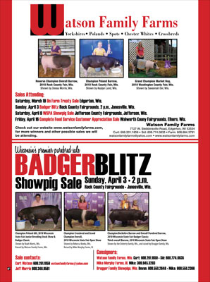 Badger Blitz Flyer