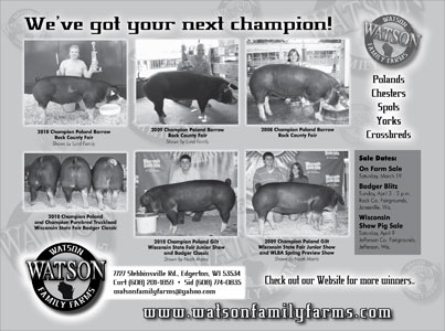 Watson Flyer