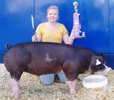 Watson Winner